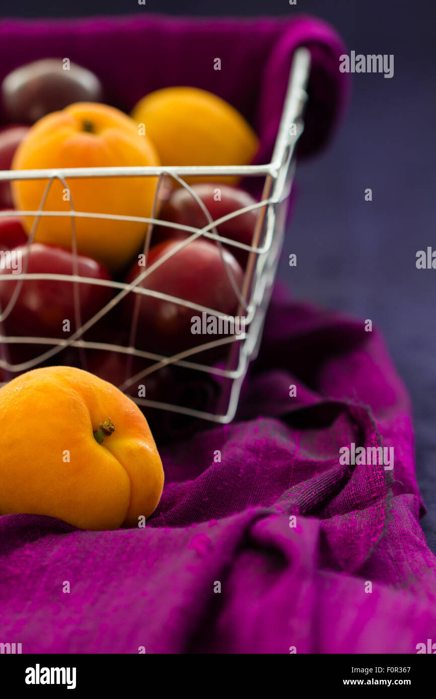 Aprikosen und Pflaumen in einen Drahtkorb mit drapierten lila Seide auf blauem Grund mit textfreiraum Seide. Selektiven Fokus. Stockfoto