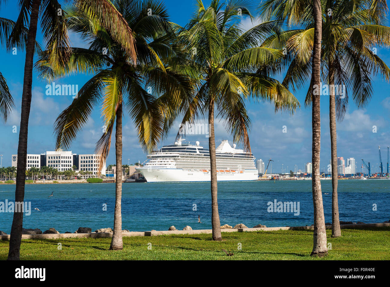 Kreuzfahrtschiff an Miami Stockfoto