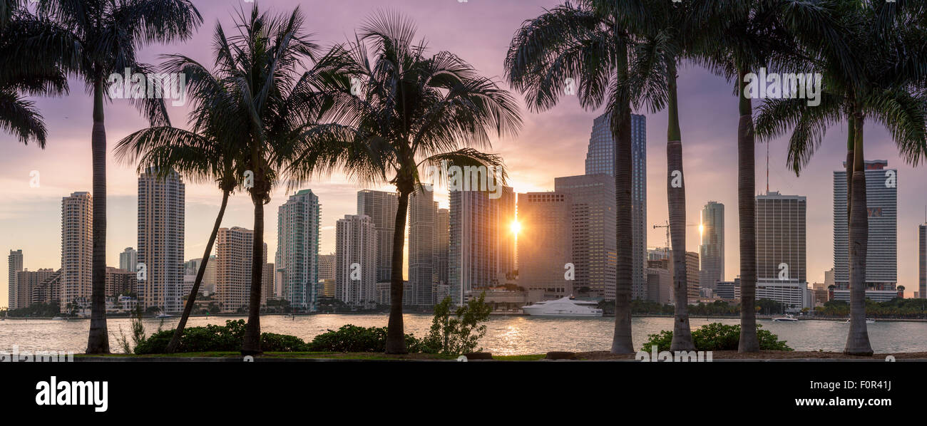 Florida, Miami Skyline bei Sonnenuntergang Stockfoto