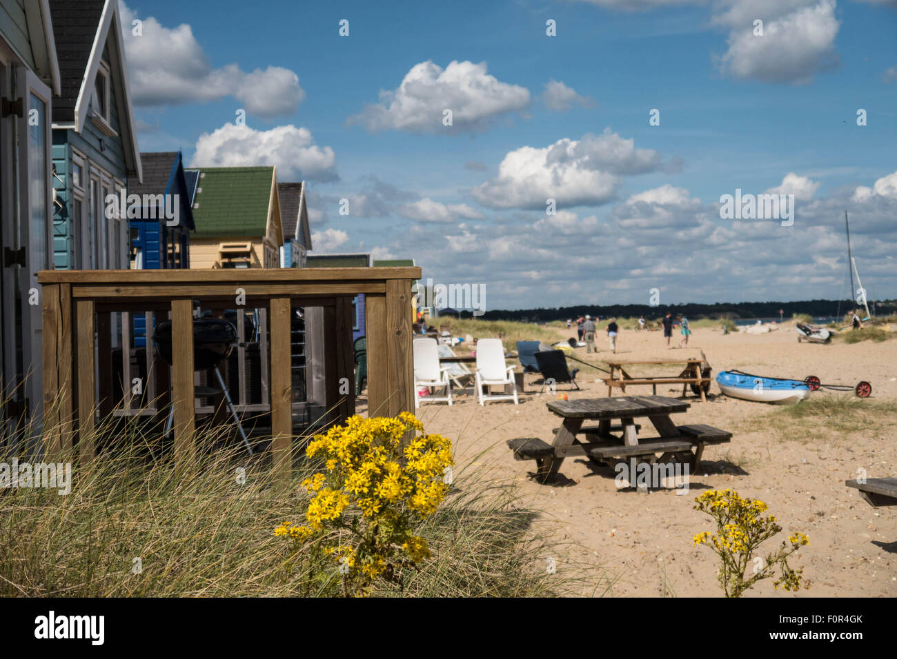 Schöne Aufnahme von einigen Strandhütten an einem britischen Südküste Strand an einem sonnigen Tag. Einige wilde Blumen wachsen im Vordergrund Stockfoto