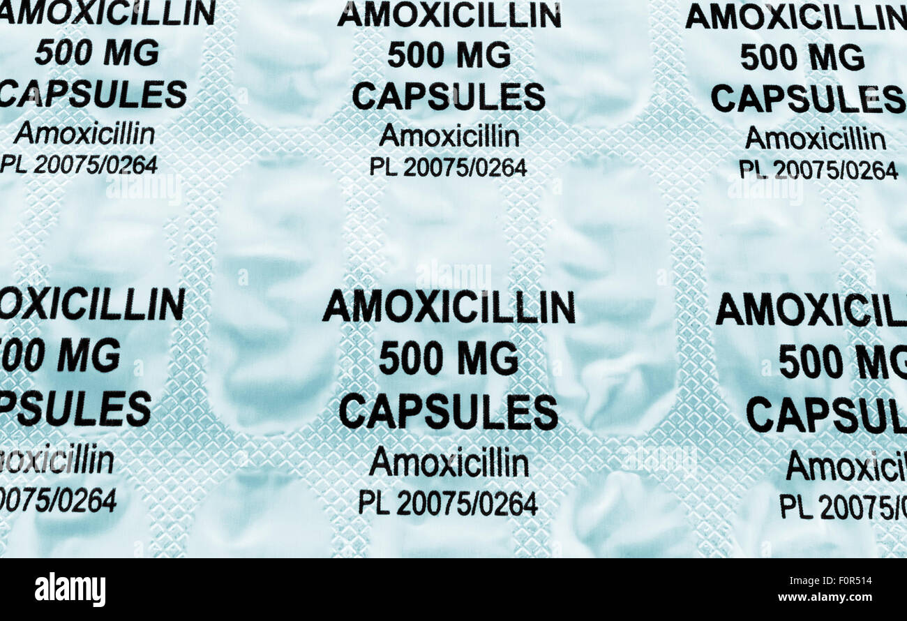 Blister-Packung mit 500MG Amoxicillin Antibiotika-Kapseln Stockfoto
