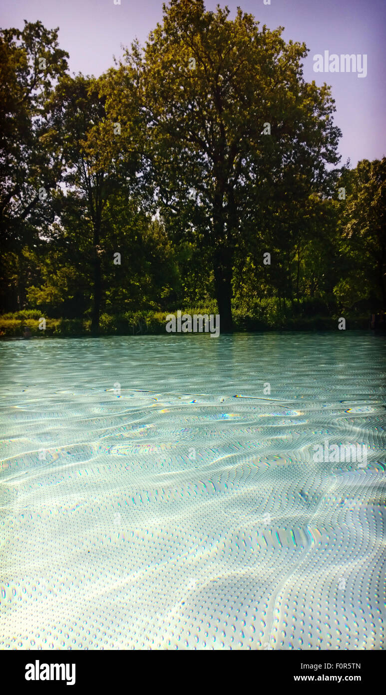 schöne klare frische Wasser eines Swimmingpools umgeben von Bäumen und üppiger vegetation Stockfoto