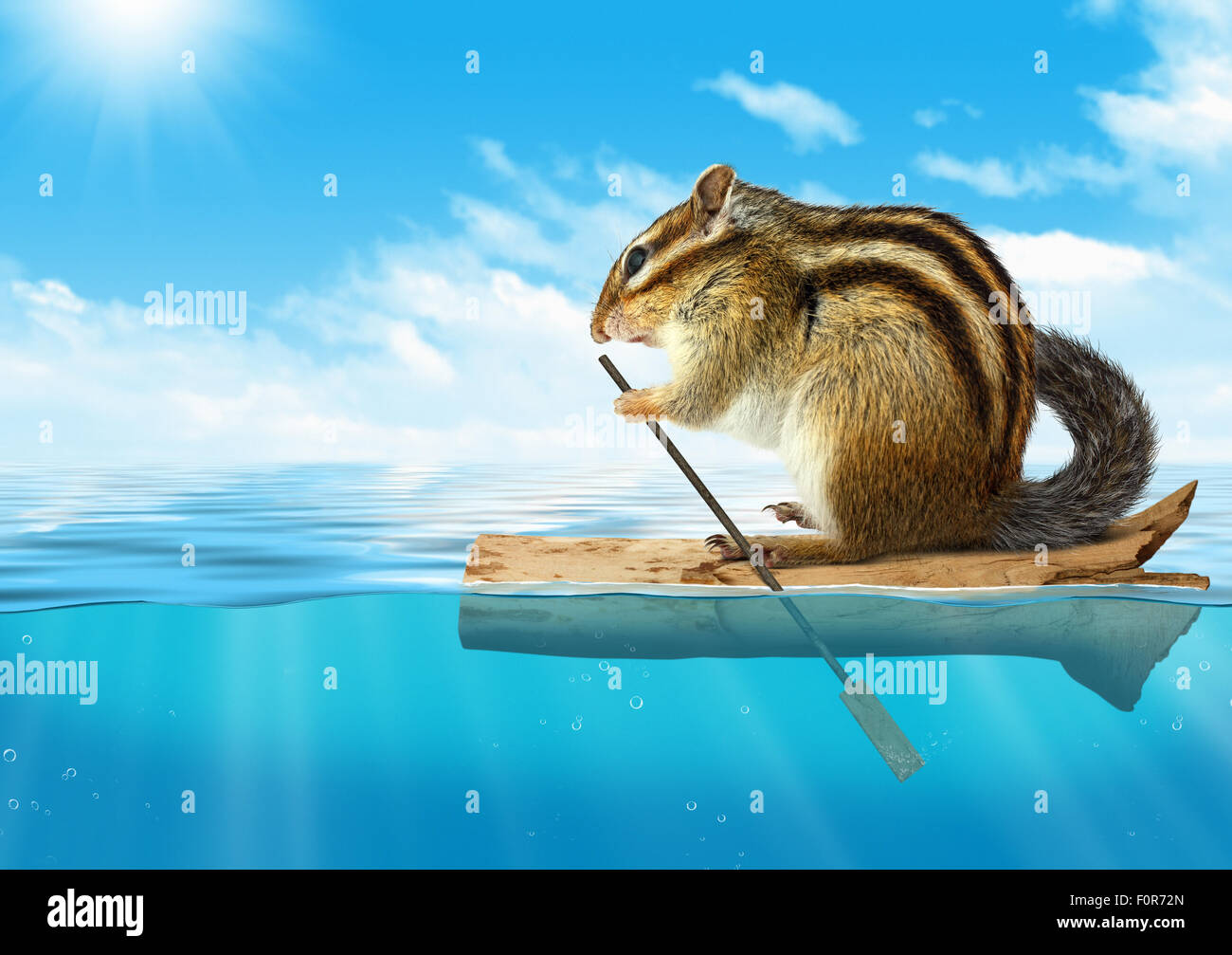 Lustige Tier, Streifenhörnchen schwimmende am Ozean, Reisekonzept mit Textfreiraum Stockfoto