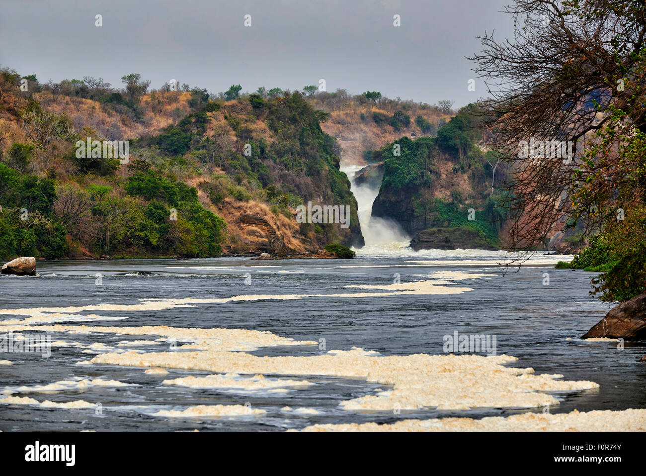 Nil im Murchison Falls, Murchison Falls National Park, Uganda, Afrika Stockfoto