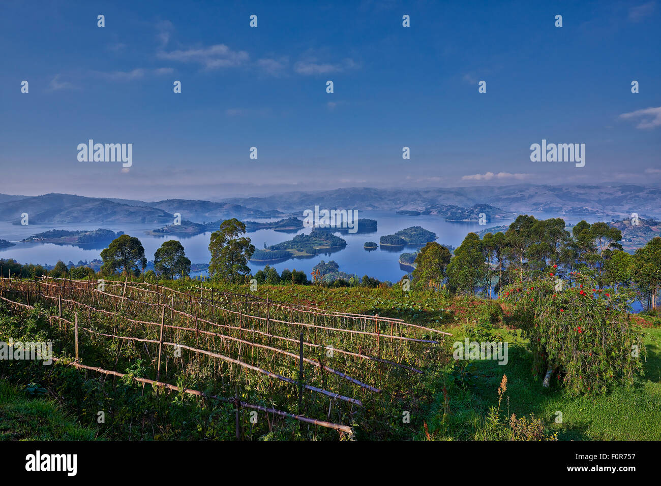 Landschaft des Lake Bunyonyi, Uganda, Afrika Stockfoto