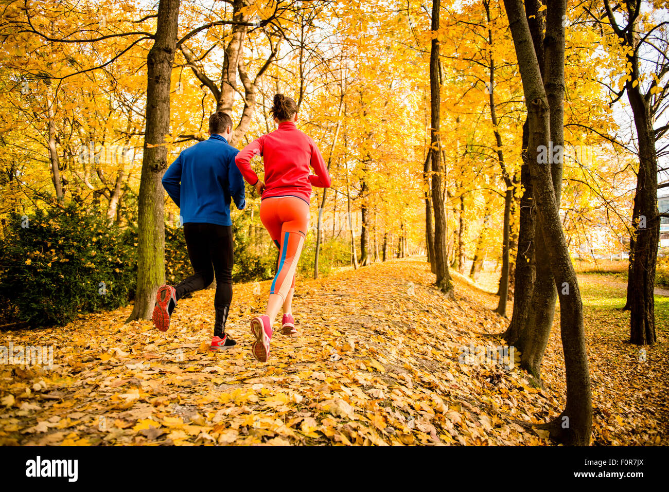 Junges Paar im Herbst Park, Rückansicht Joggen laufen zusammen- Stockfoto