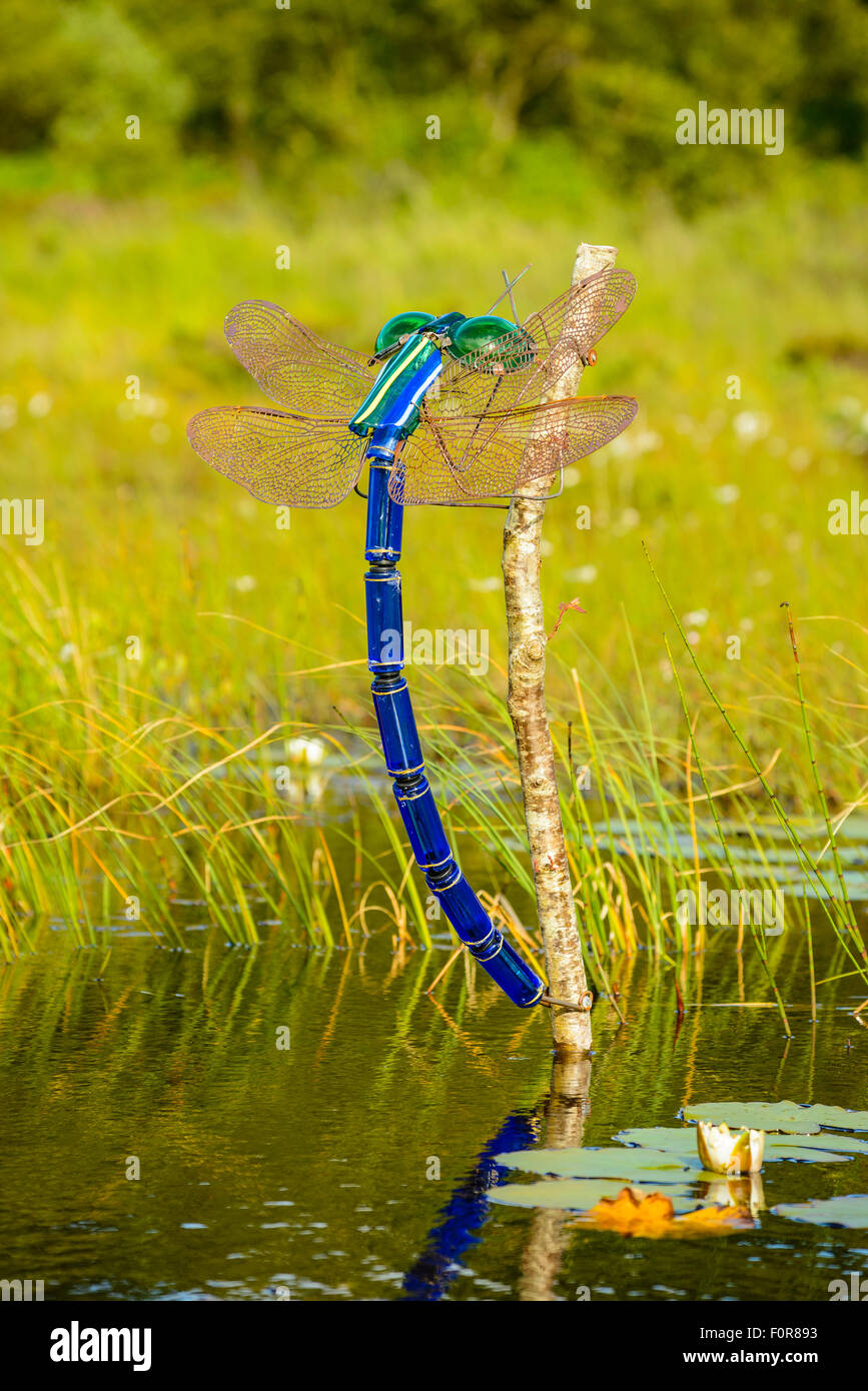 Libelle-Skulptur von Kirsty Brady am Taynish National Nature Reserve neben Loch Sween Argyll, Schottland Stockfoto