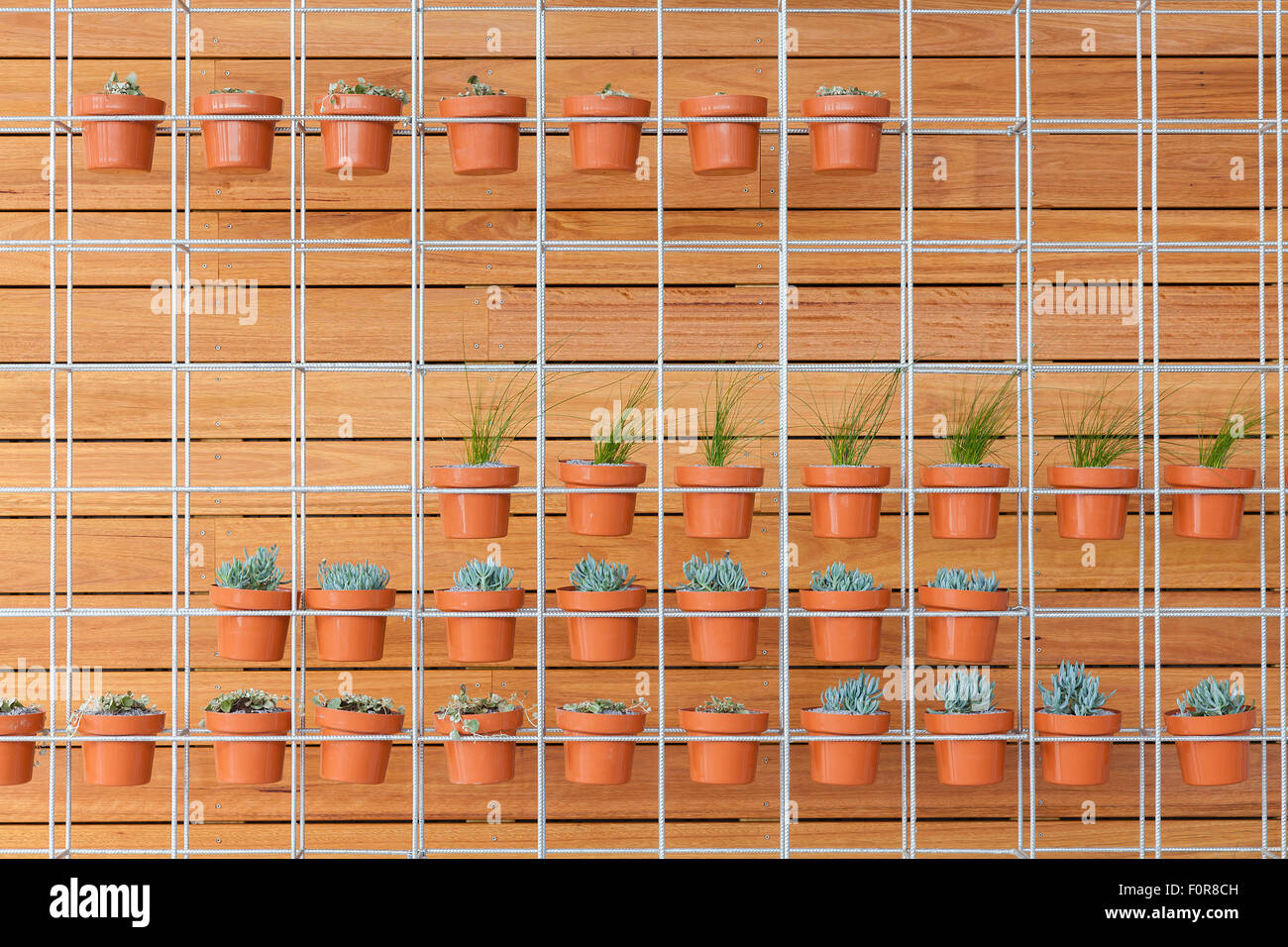 Topfpflanzen auf einer Wand Stockfoto