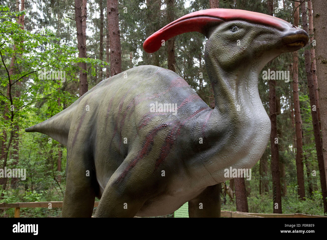 Parosaurolophus einer ausgestorbenen Ornithopod Dinosaurier Deutschland Stockfoto