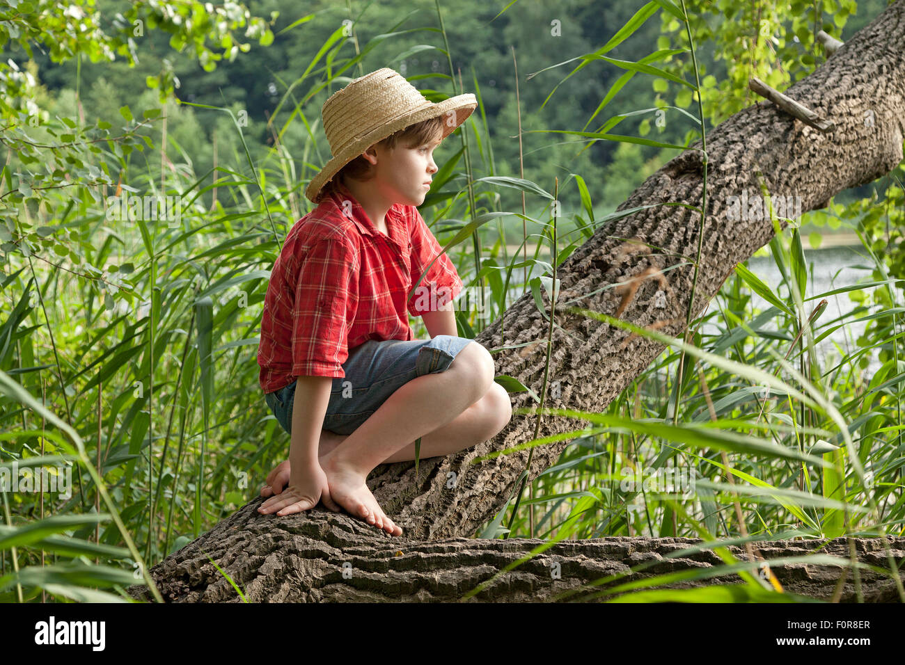 kleiner Junge verkleidet als Huckleberry Finn sitzt in einem Baum Stockfoto