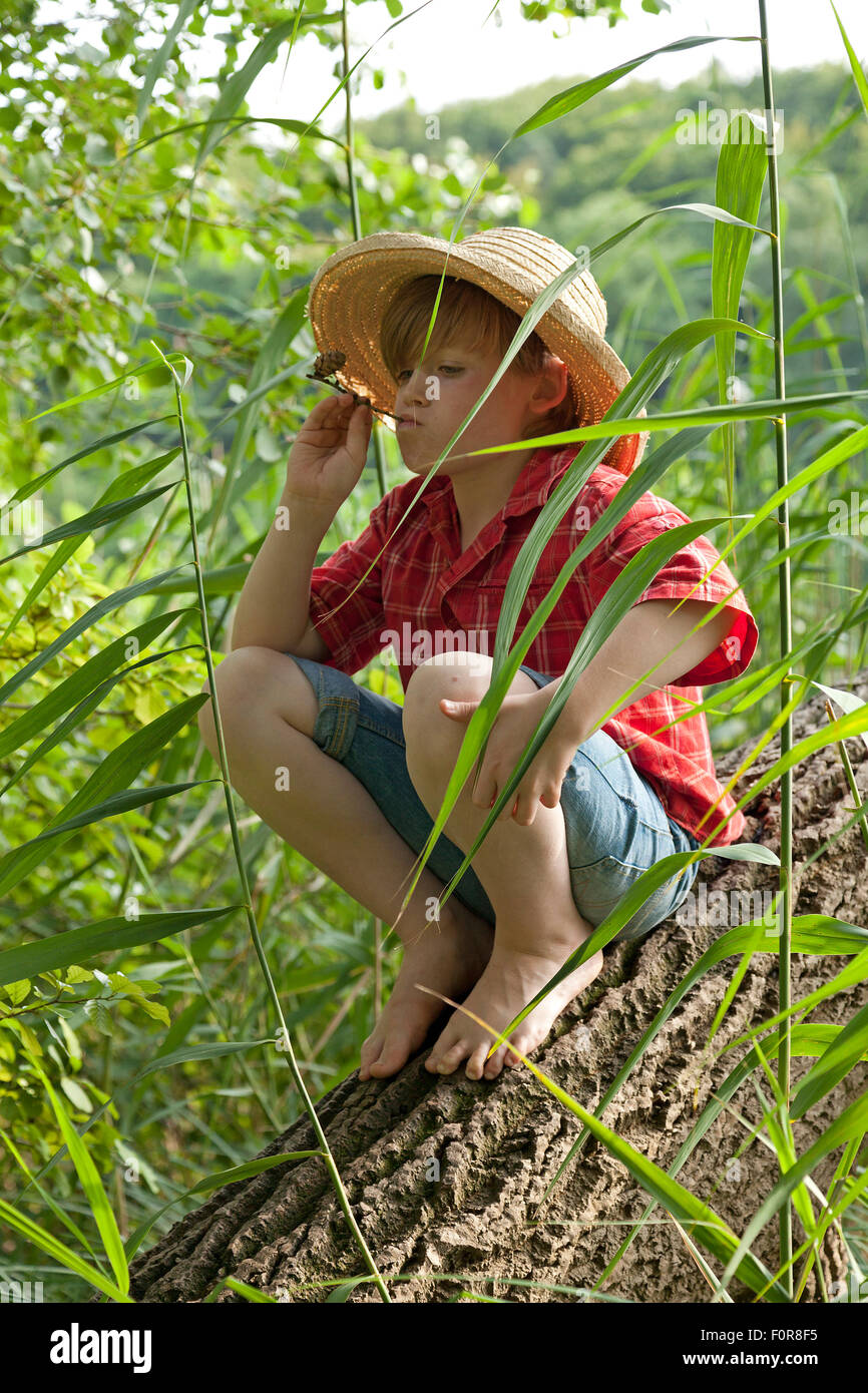 kleiner Junge verkleidet als Huckleberry Finn sitzt in einem Baum seine Pfeife rauchen Stockfoto