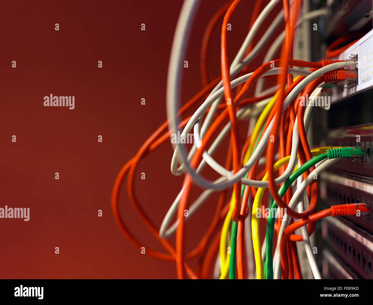 Netzwerkkabel und Server mit Textfreiraum Stockfoto