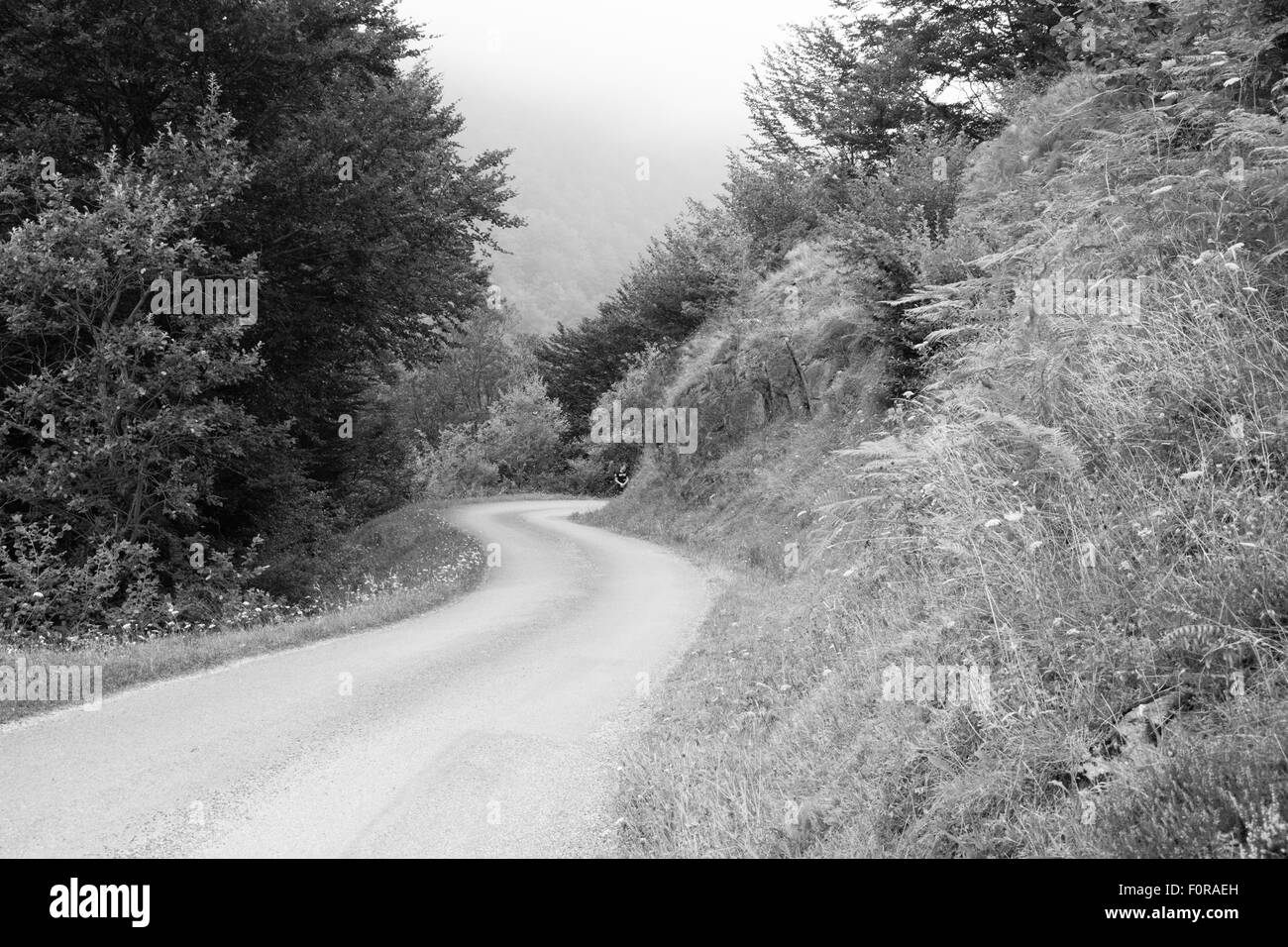 Straße in einem Berg von Frankreich Europa Stockfoto
