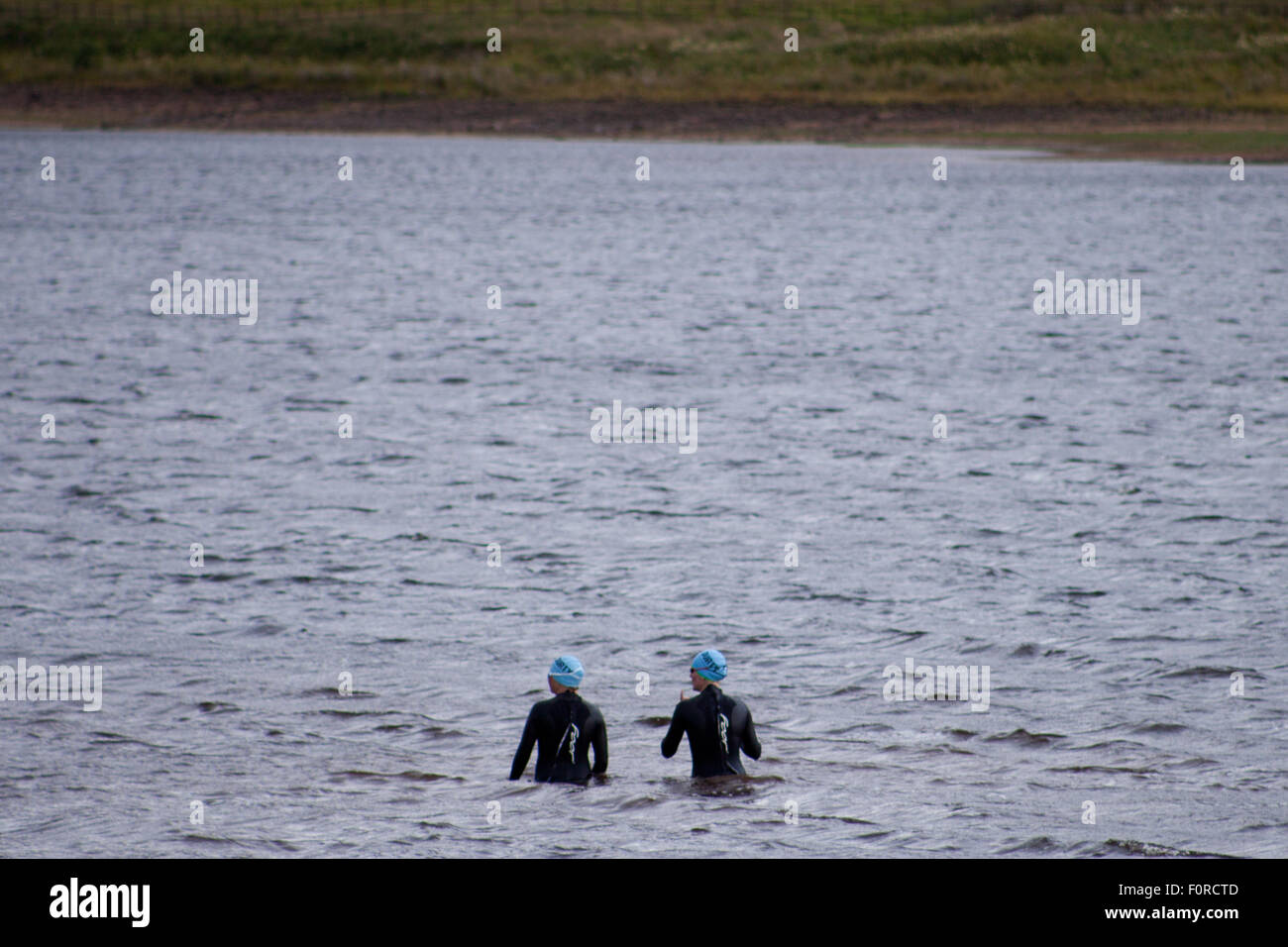 Harlaw Reservoir, Pentland Hills Regional Park, Edinburgh, Schottland. 20. August 2015. Wetter ist nicht typisch für den Sommer, 17° C. Bei windigen und regnerischen Nachmittag Gruppe der Schwimmer bereitet sich in kaltem Wasser in Harlaw Reservoir schwimmen. Der Ort beginnen, beliebt für wild schwimmen, da Mitglieder der Pentland Triathleten begann dort Schulungen zu halten. Bildnachweis: Joanna ECHL/Alamy Live-Nachrichten Stockfoto