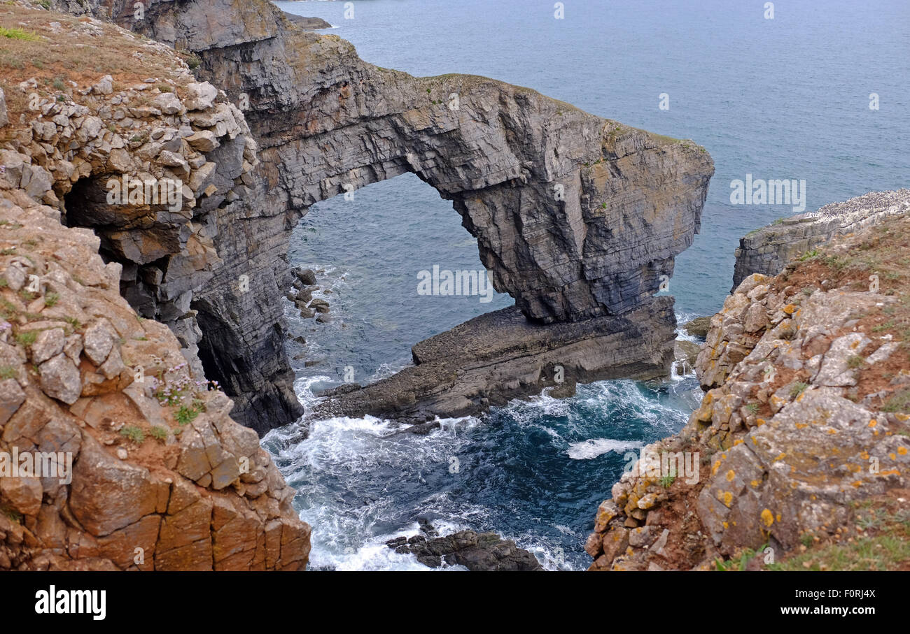 Die grüne Brücke von Wales - ein natürlicher Kalkstein Bogen - an der Küste von Pembrokeshire, Wales Stockfoto