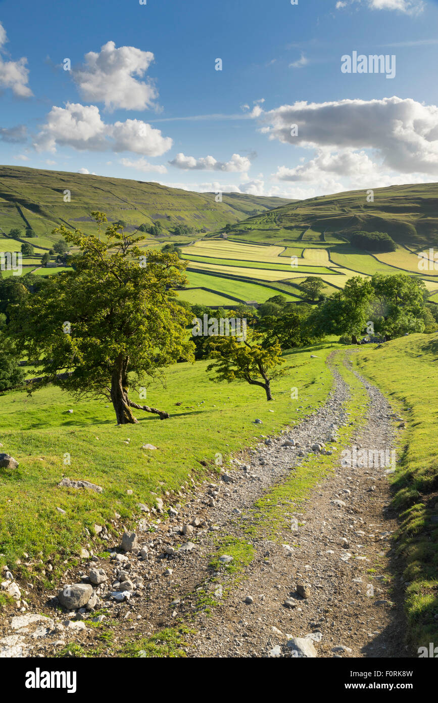 Arcliffe in Littondale, August 2015 Stockfoto