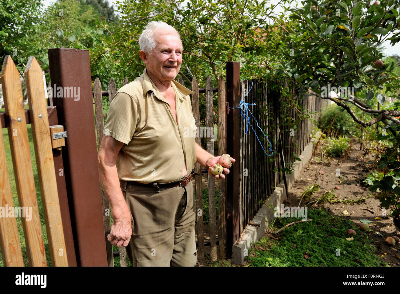 Roszke, Ungarn. 19. August 2015. Rund drei Dutzend Flüchtlinge aus Syrien wurden am 19. August 2015 in der Nähe von Roszke Villiage, Südungarn, nahe der Grenze zu Serbien von der Polizei verhaftet. Ungarische Armee und Arbeiter bauen der Wand auf der 175 km lange serbische Grenze zwischen Ungarn und Ungarn auch Pläne für den Bau eines Zauns an der Grenze zu Serbien, Menschen, die illegal in das Land zu stoppen. Abgebildete Sylvester Nagy lebt in einer abgelegenen Gegend in der Nähe des Dorfes Roszke. © Jan Koller/CTK Foto/Alamy Live-Nachrichten Stockfoto