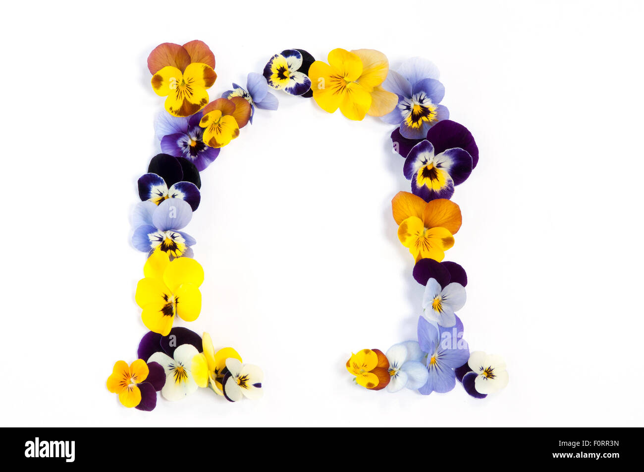 Buchstabe n Alphabet gemacht aus Stiefmütterchen Blüten isoliert auf weißem Hintergrund Stockfoto