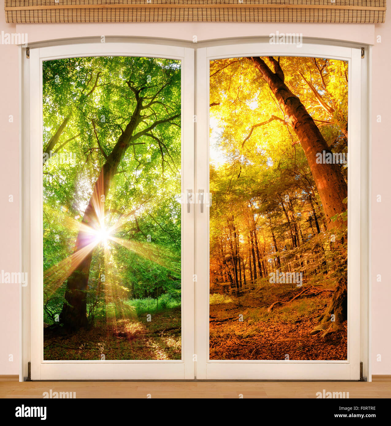 Magische Fenster zeigt den Wechsel der Jahreszeiten, mit einem sonnigen Wald Hälfte im Sommer und im Herbst Farben Stockfoto