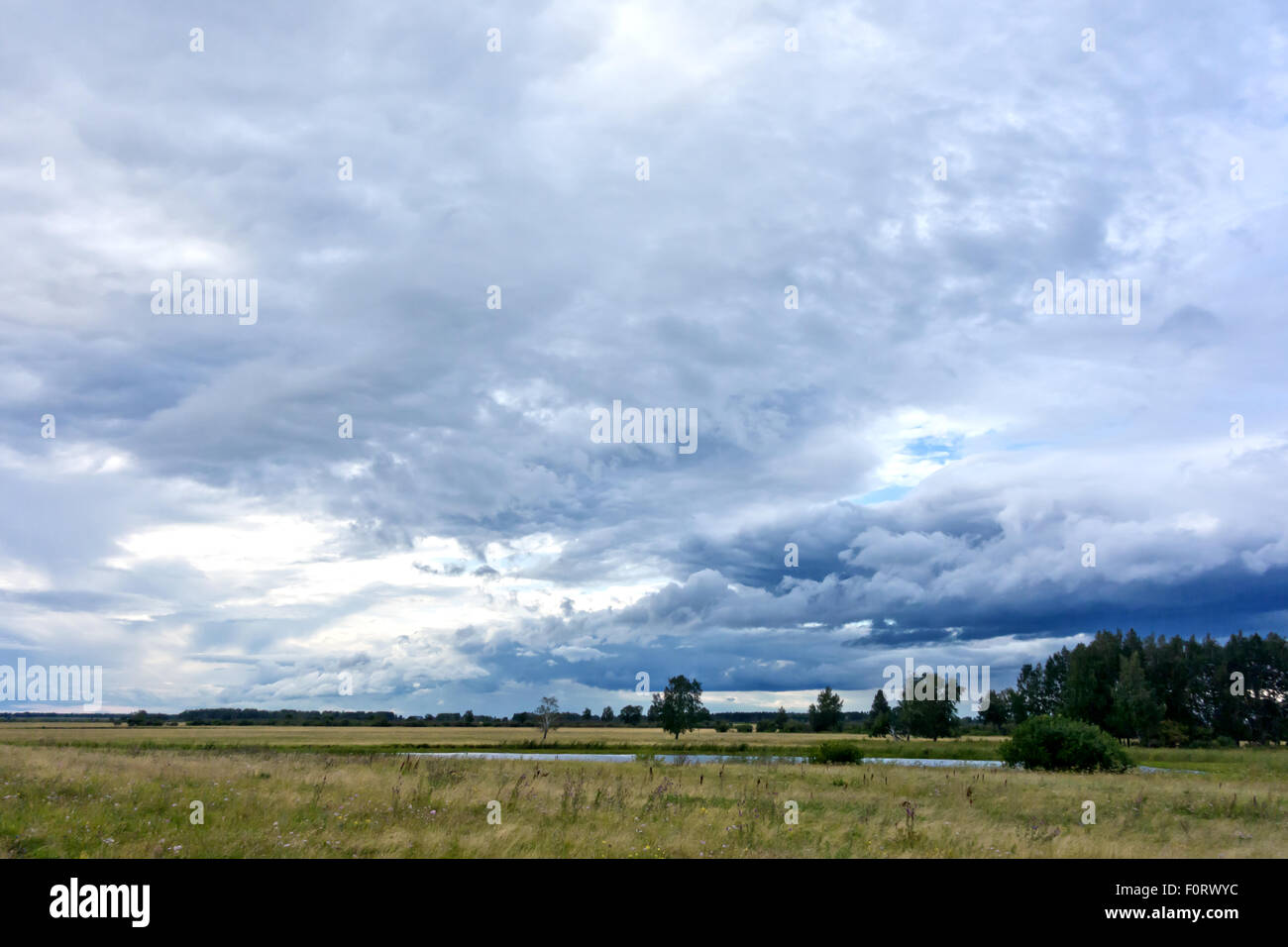 Stürmischer Himmel und grünen Wiese Stockfoto