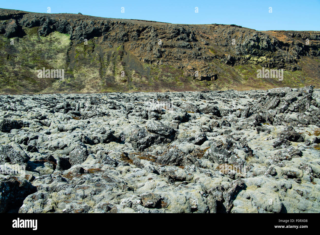 Moos bedeckt Lava Bereich Süden Islands Stockfoto