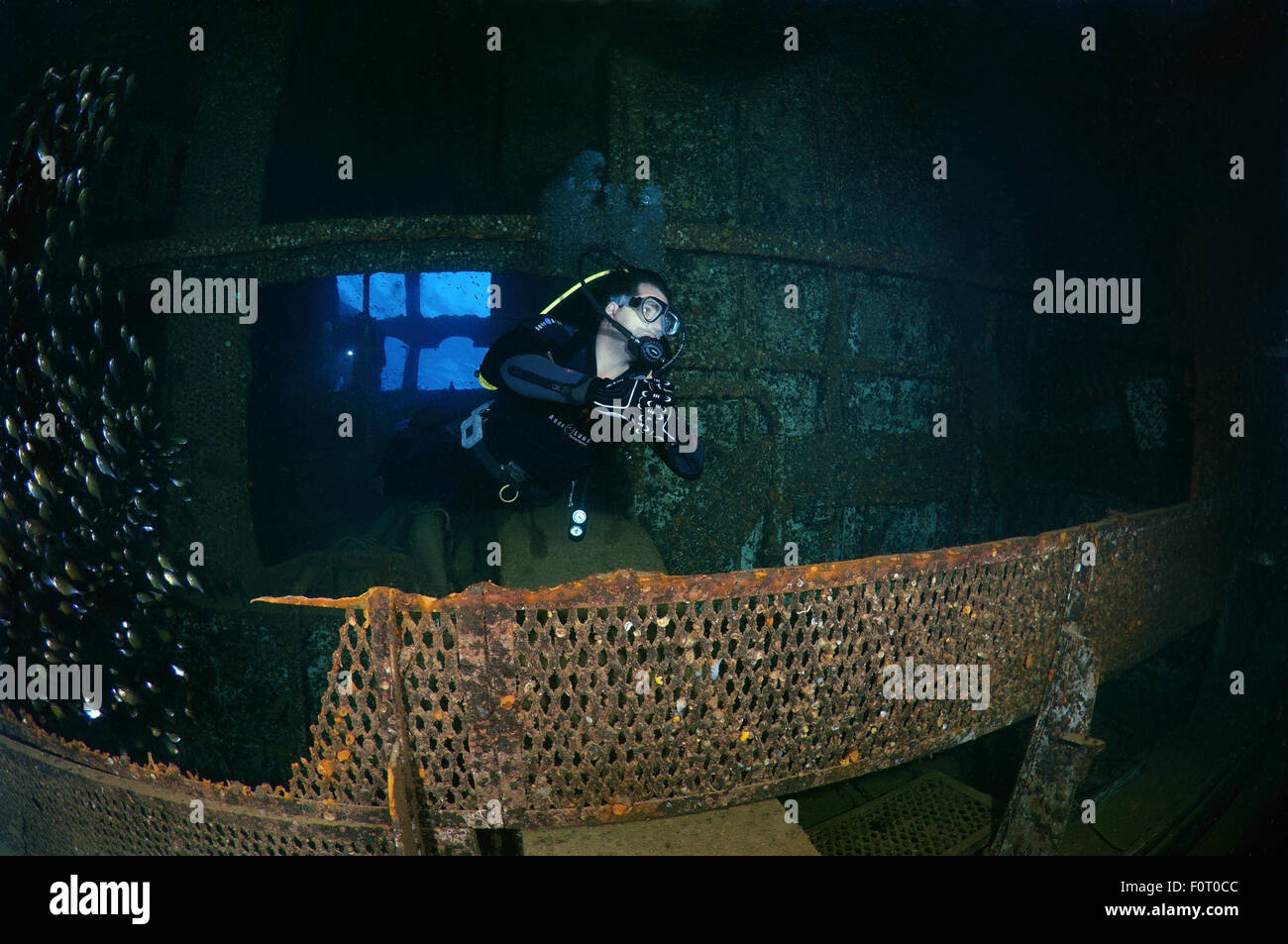 Rotes Meer, Ägypten. 15. Oktober 2014. Taucher am Motor Raum Wreckship Gianis D. Rotes Meer, Sharm El Sheikh, Ägypten © Andrey Nekrassow/ZUMA Wire/ZUMAPRESS.com/Alamy Live-Nachrichten Stockfoto