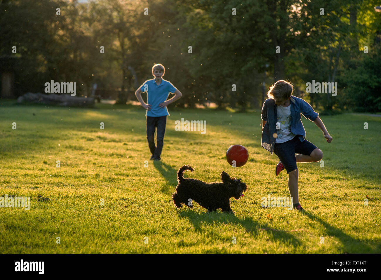 Zwei Jungen spielen Fußball in den letzten der Sommersonne in einem Londoner Park mit ihrem Haustier Hund Stockfoto