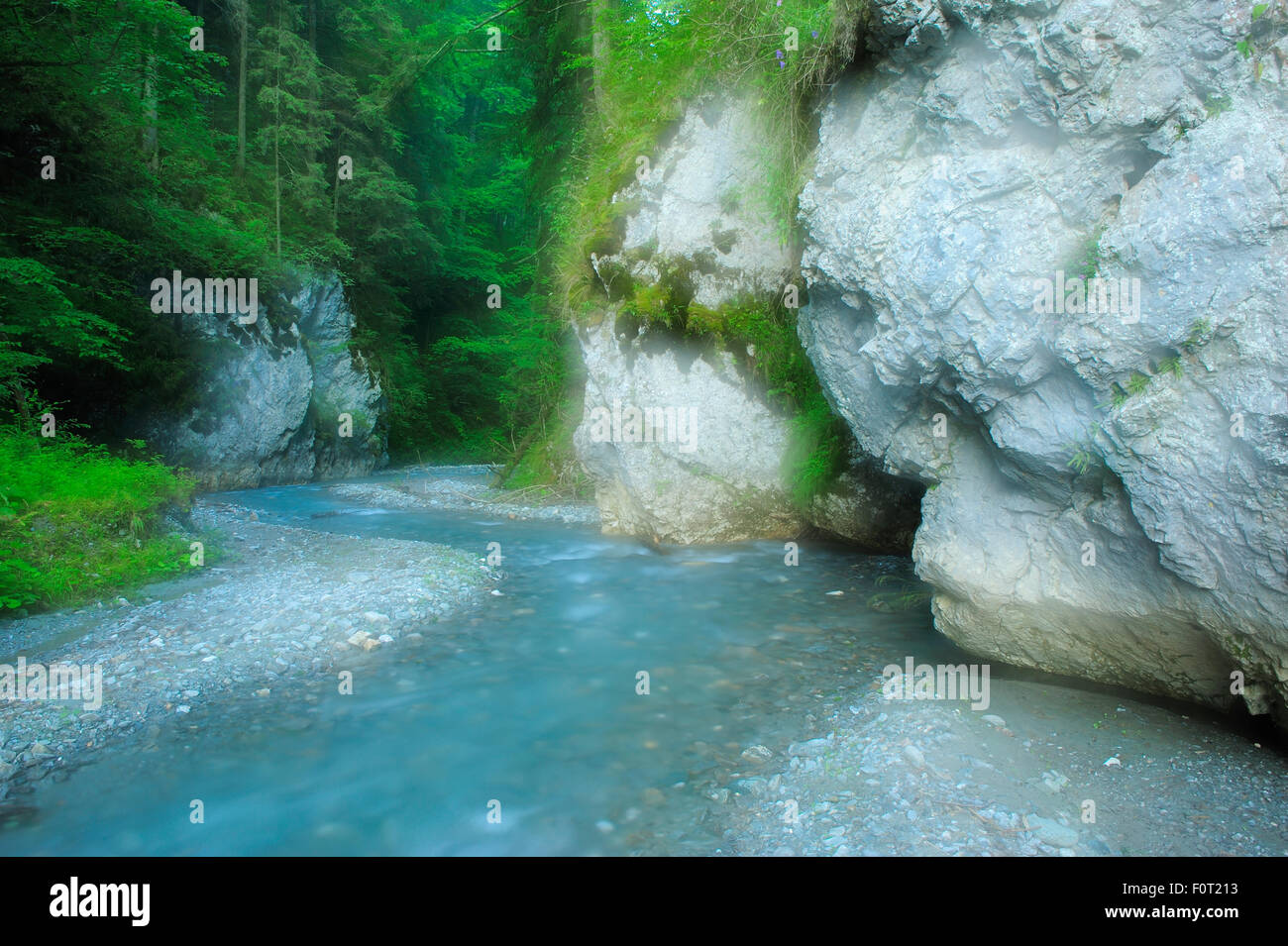 Bach durch Ghimbavul Valley Schlucht, Arges County, Leota Gebirge, Karpaten, Rumänien, Juli Stockfoto