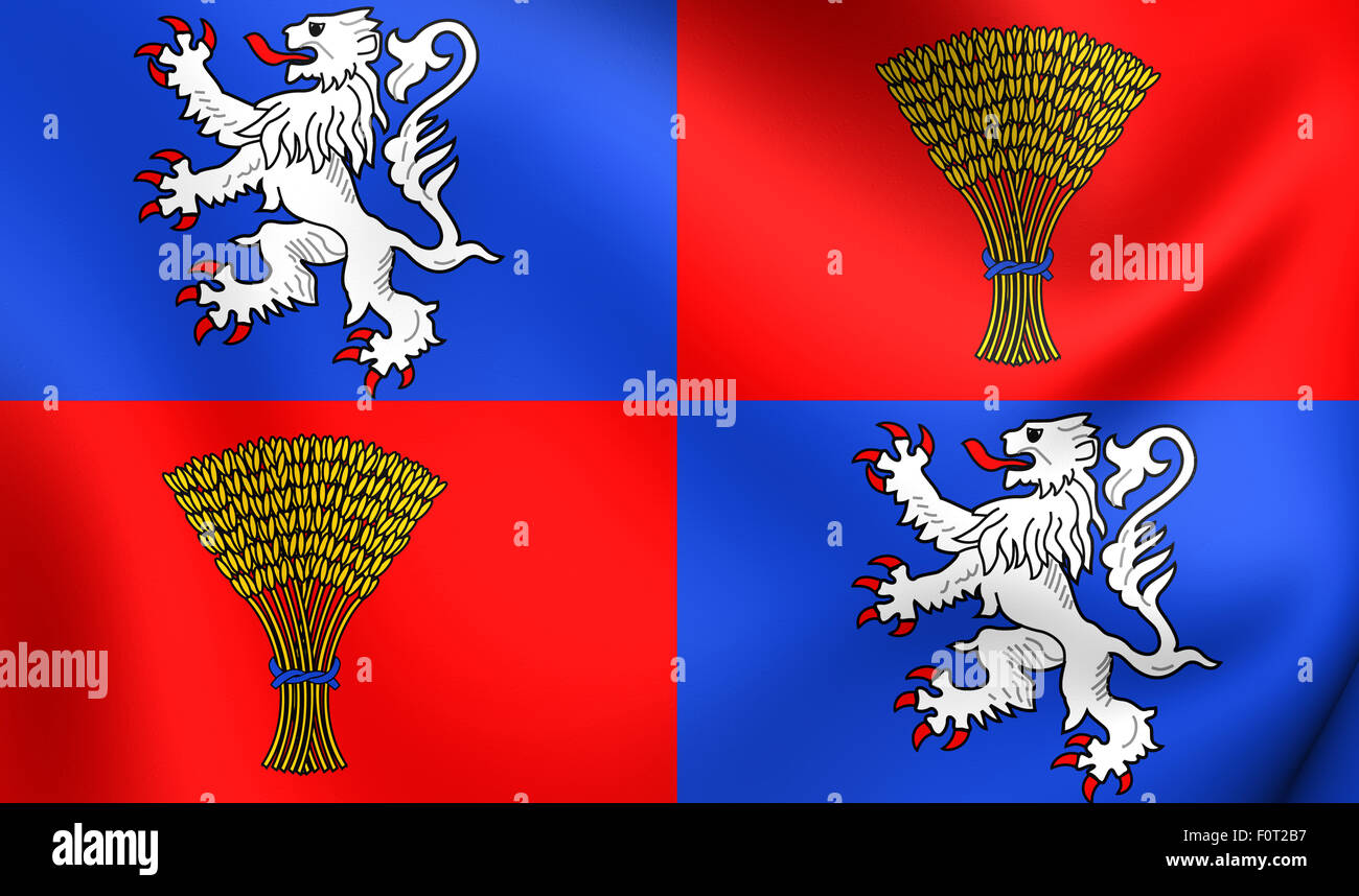 3D Flagge von der Gascogne, Frankreich. Hautnah. Stockfoto