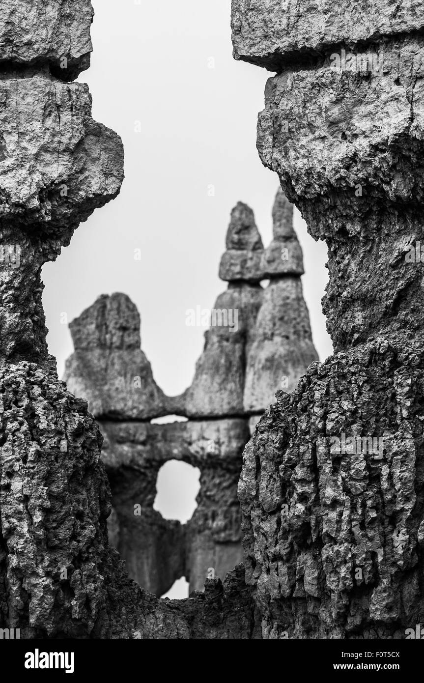 Abstrakte Felsformationen in der Bryce Canyon-Schwarzweiß-Fotografie Stockfoto