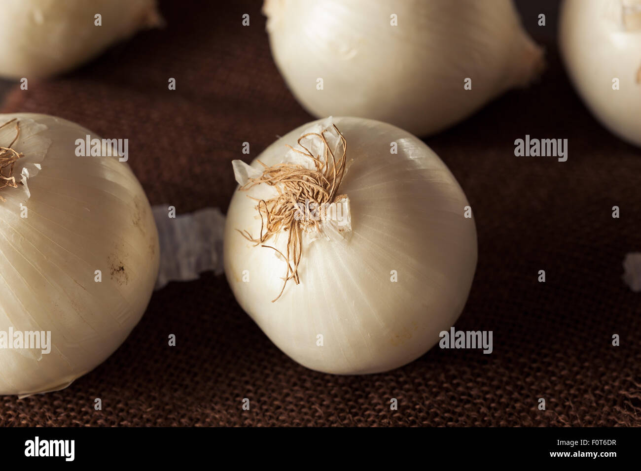 Frische Bio weiße Zwiebeln auf einem Hintergrund Stockfoto