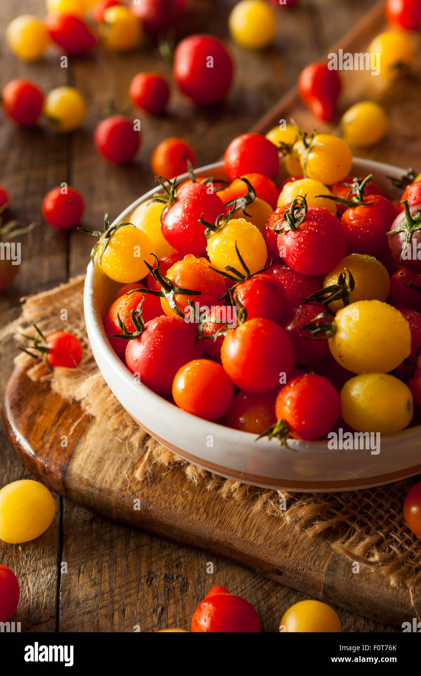 Bio Erbstück Cherry Tomaten in eine Schüssel geben Stockfoto