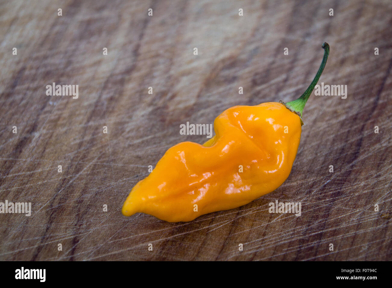 gelbe Fatalii Chilischote auf Holzbrett Stockfoto