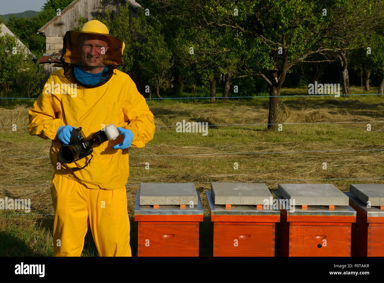 Staffan Widstrand, Naturfotograf, bei der Imkerei in Melnice, Naturpark Velebit, Verwilderung Europa Region Velebit-Gebirge, Kroatien Juni 2012 Stockfoto