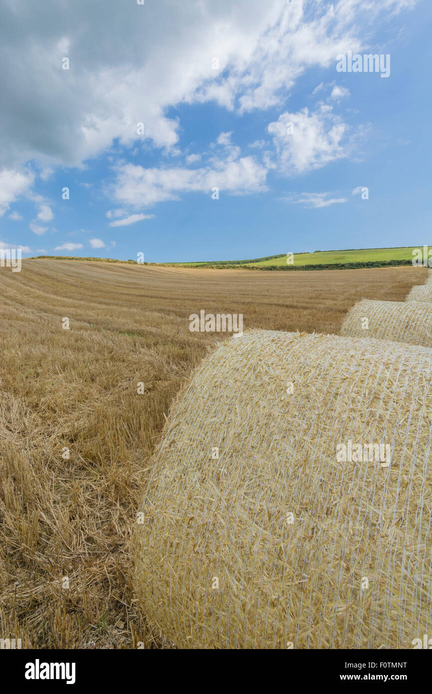 Heu-/Strohballen und stoppel Feld nach der geernteten Getreide. Metapher für die Ernährungssicherheit/Anbau von Nahrungsmitteln, landwirtschaftlichen Subventionen. Stockfoto