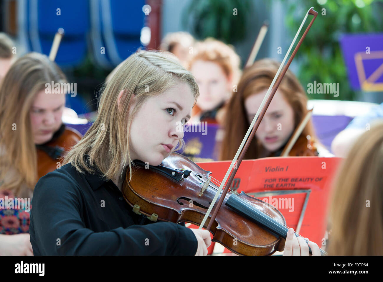 Junge Geigerin spielen mit Norfolk County Jugend Orchestre im Konzert im Forum, Norwich. Stockfoto