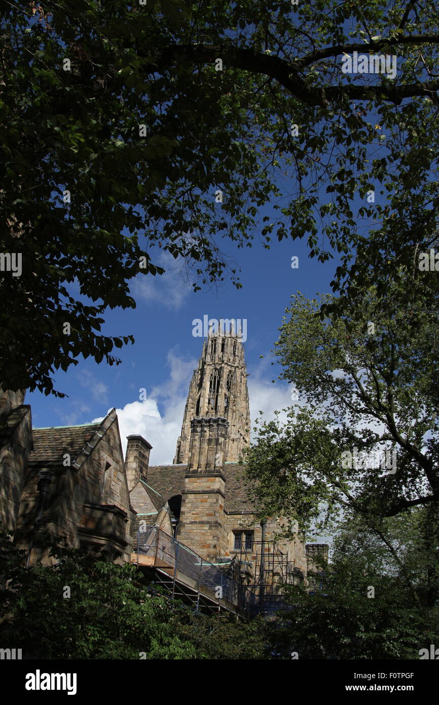 Yale University Harkness Tower Stockfoto