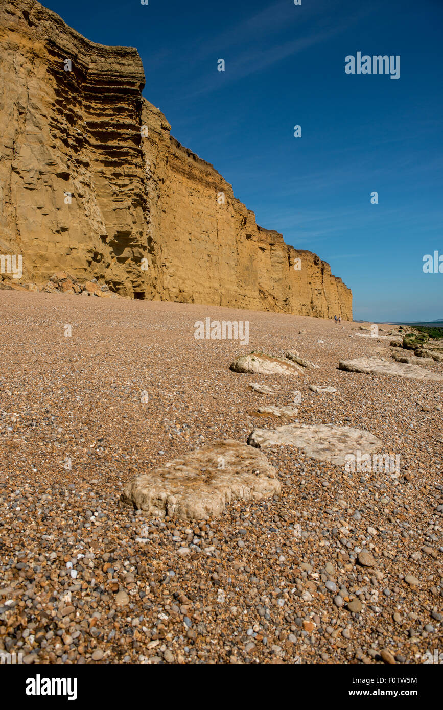 Burton Bradstock Klippen, Jurassic Coast Dorset Stockfoto