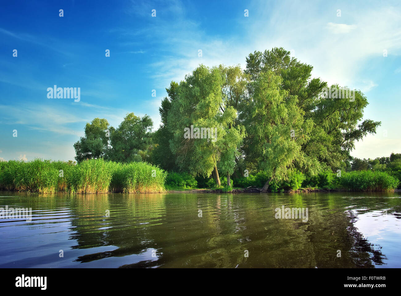 Fluss und Frühjahr grüne Wald. Natur-Komposition. Stockfoto