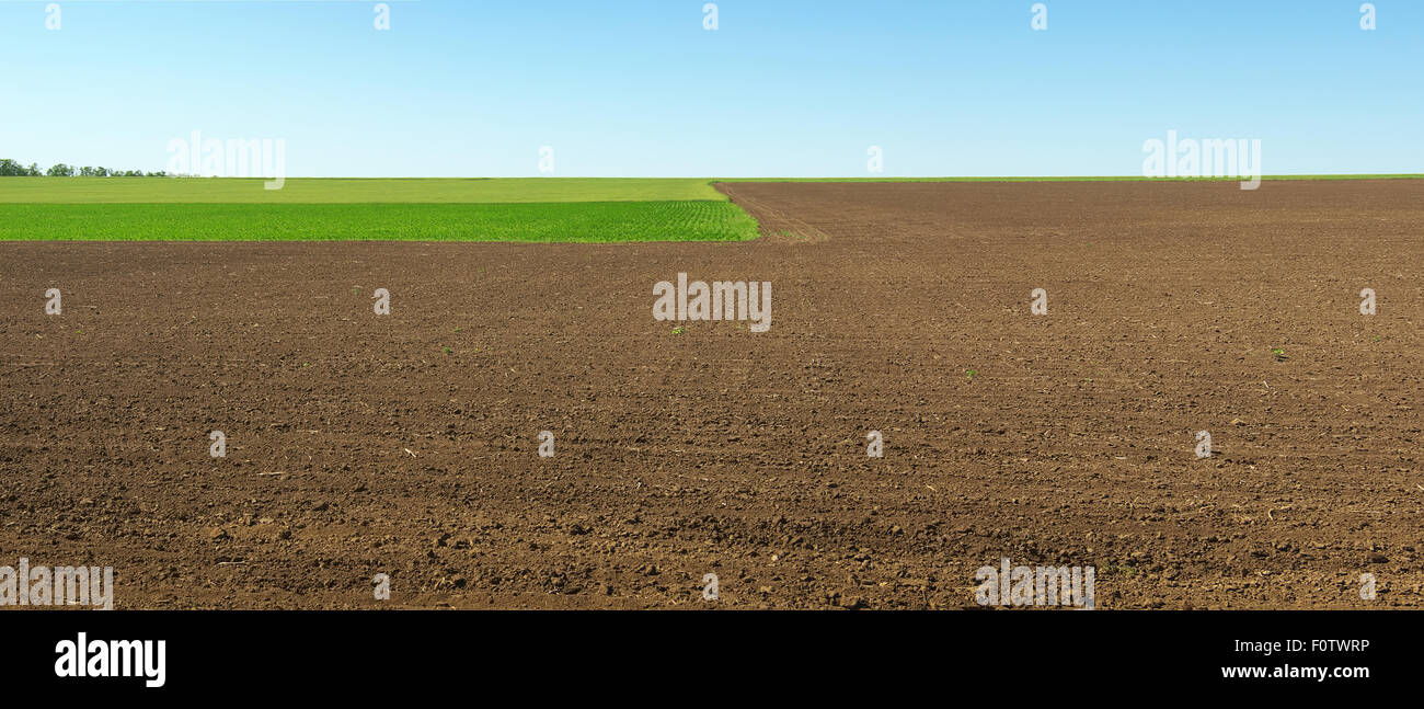 Gepflügtes Feld mit Grünflächen. Panorama Stockfoto