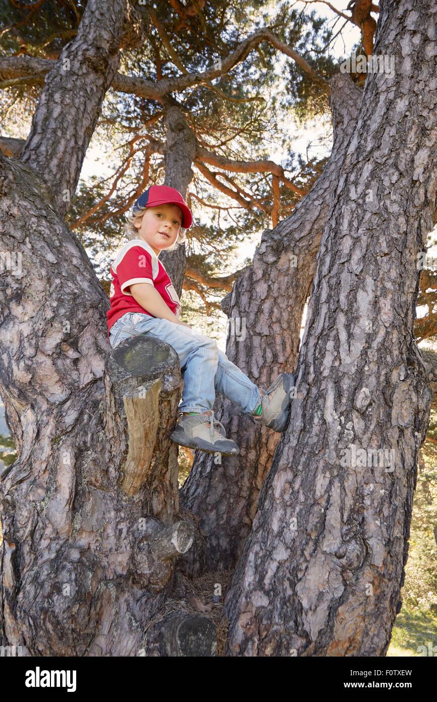 Porträt des jungen sitzen im Baum Stockfoto