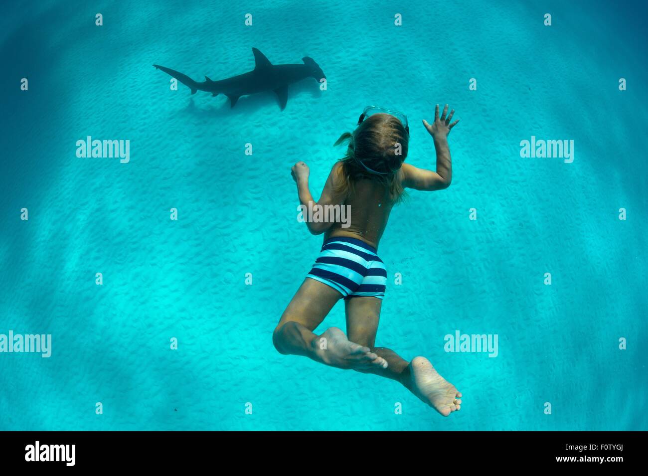 Junge mit Ammenhai, Bimini, Bahamas Stockfoto