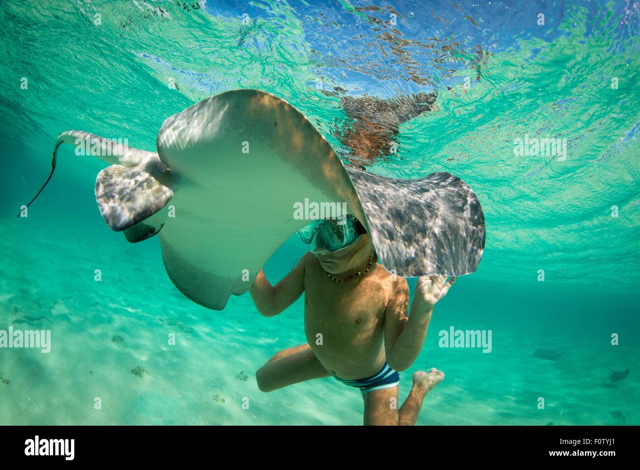 Junge mit Stingray, Bimini, Bahamas Stockfoto