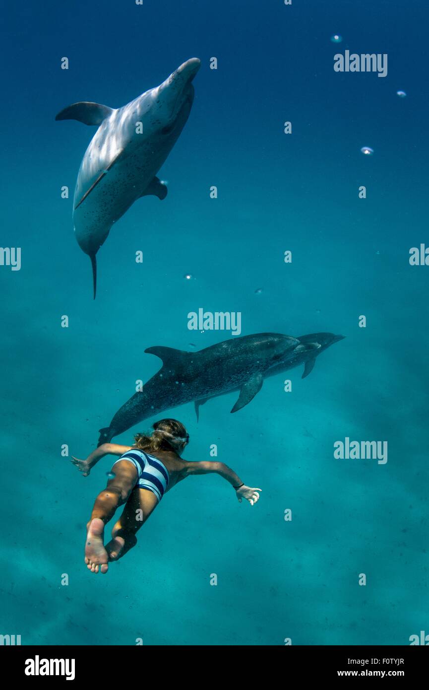 Junge mit Atlantischen Fleckendelfine Freitauchen Stockfoto