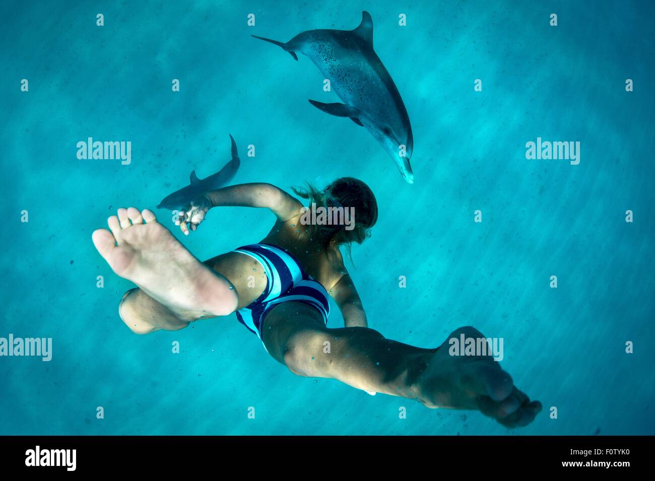 Junge mit Atlantischen Fleckendelfine Freitauchen Stockfoto
