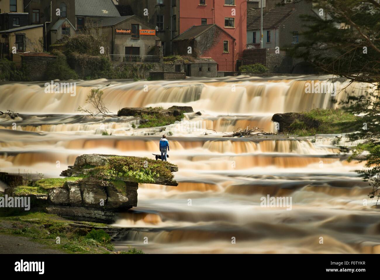 Mann mit Hund, Wasserfälle, Ennistymon, Clare, Irland Stockfoto