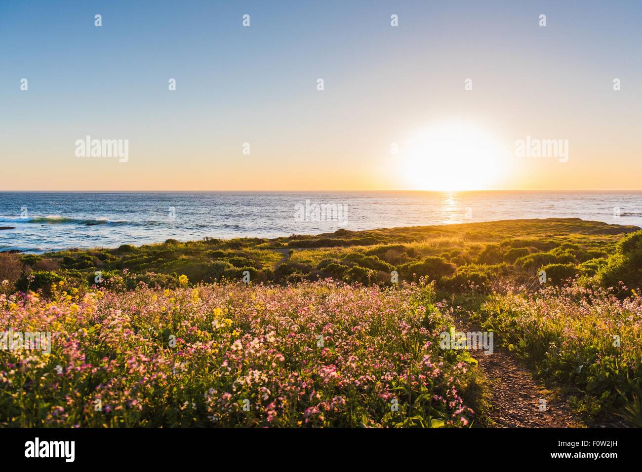 Blick auf Meer und Weg bei Sonnenaufgang, San Luis Obispo, California, Vereinigte Staaten von Amerika Stockfoto