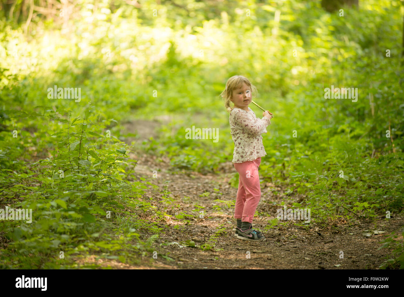 Kleines Mädchen in den Wald zu erkunden. Stockfoto