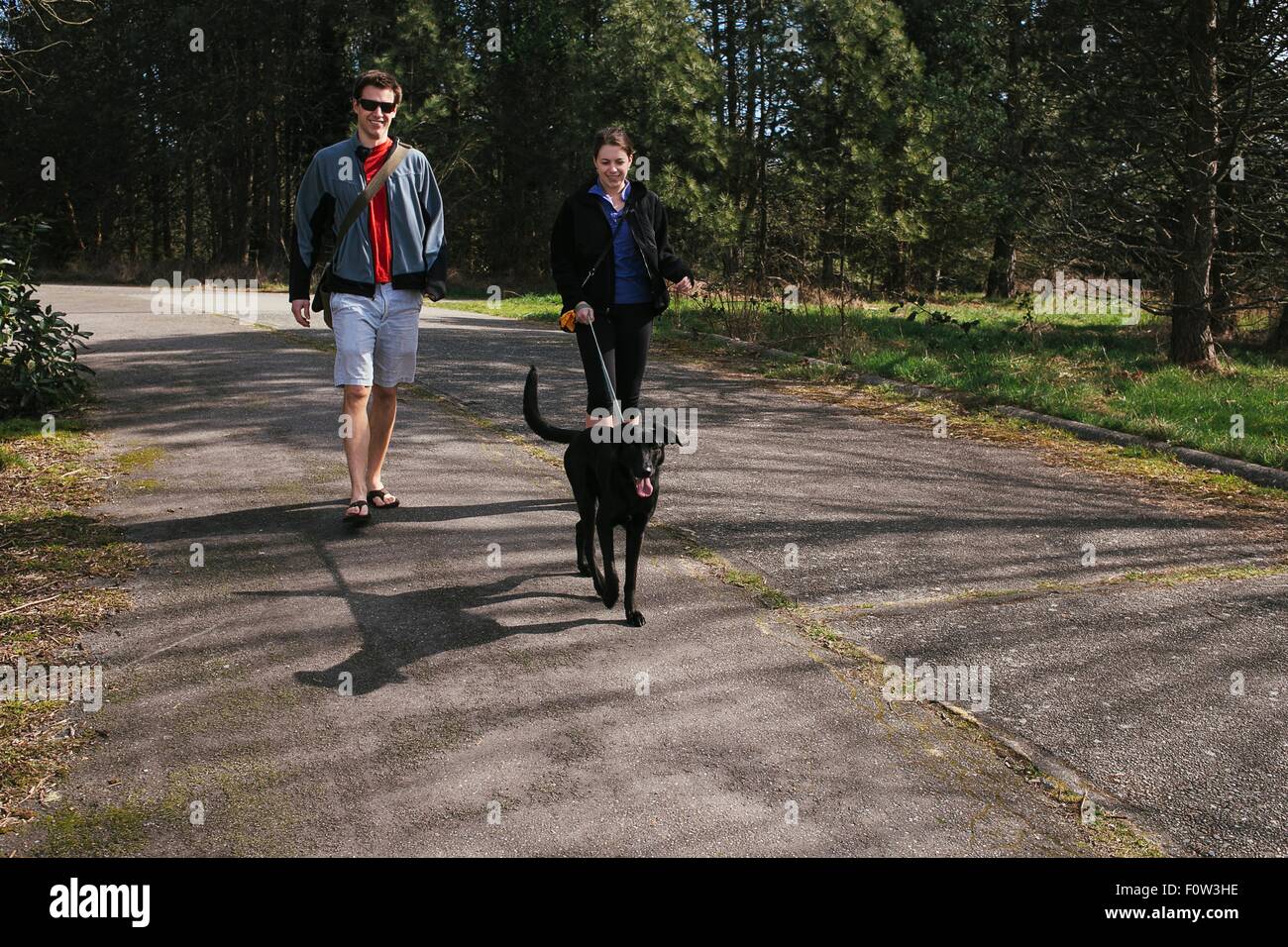 Paare, die einen Hund im sonnigen park Stockfoto