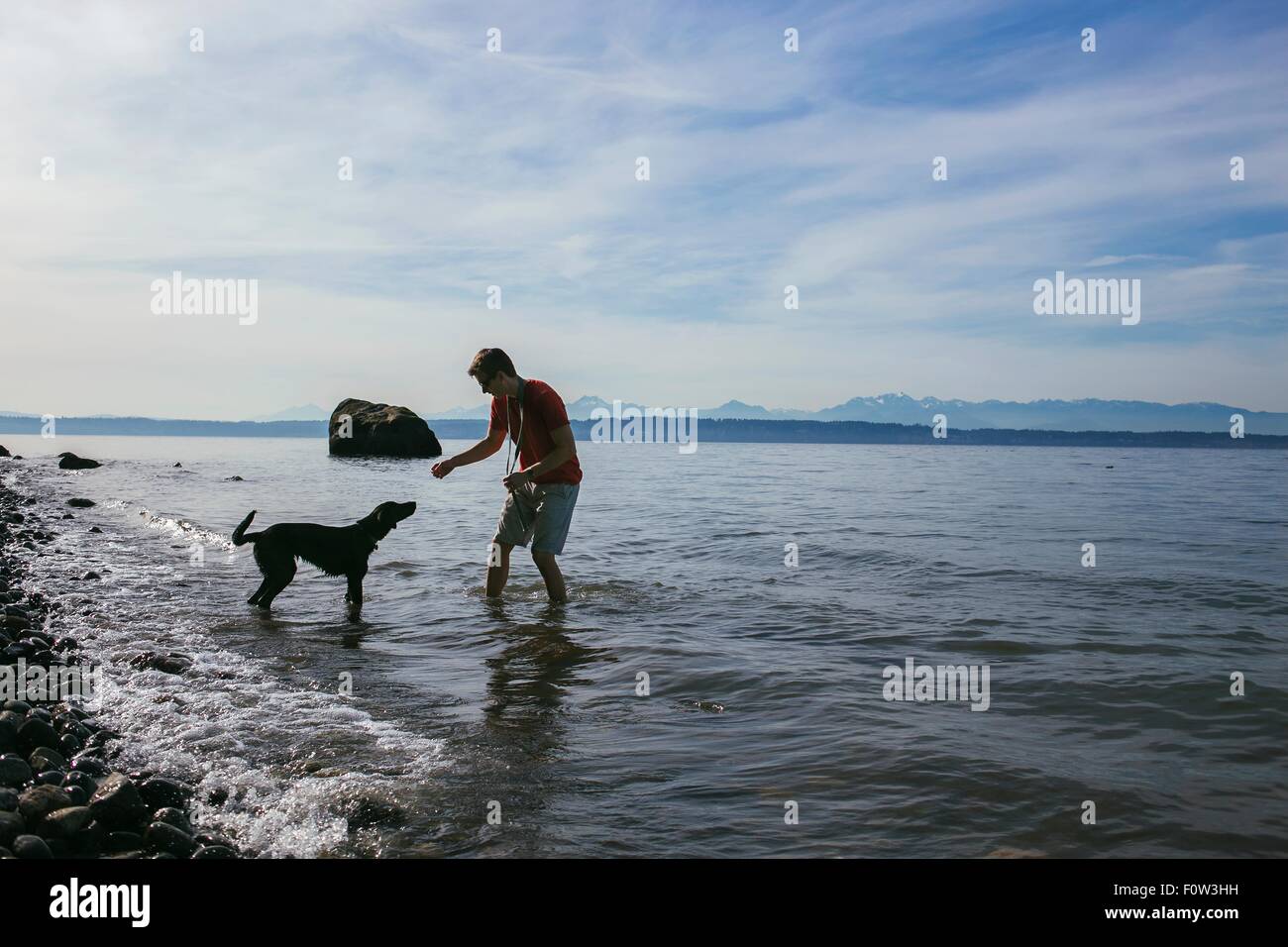 Mann spielt mit seinem Hund am Ufer des Puget Sound, Seattle, Washington State, USA Stockfoto